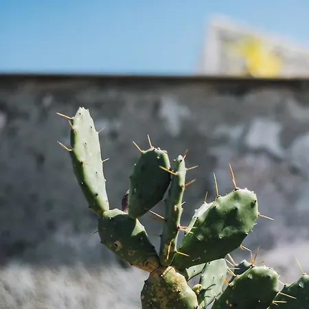 Гостевой дом L' Ambasciata 3*